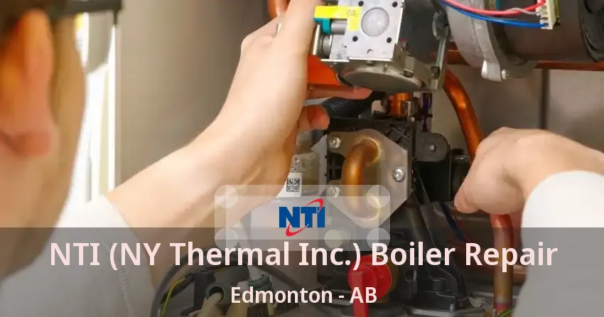 NTI (NY Thermal Inc.) Boiler Repair Edmonton - AB