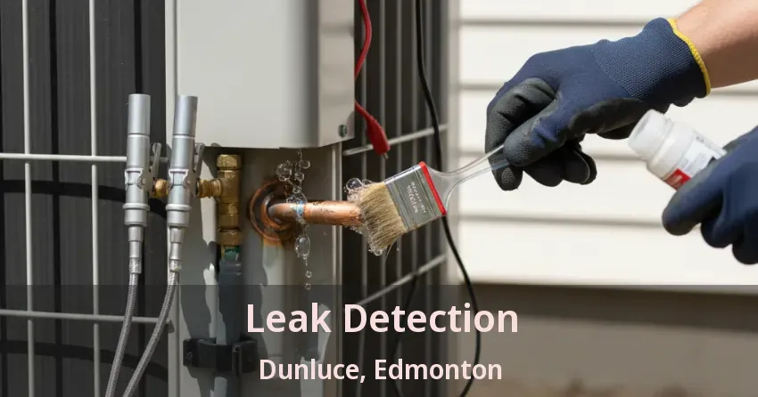 Leak Detection Dunluce, Edmonton - AB